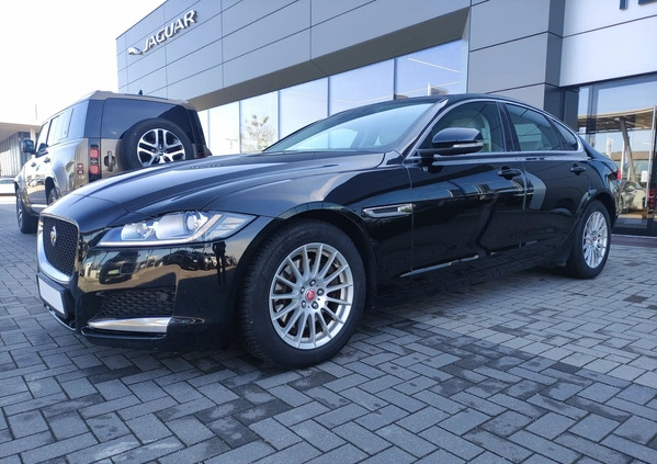 Jaguar XF cena 99900 przebieg: 155587, rok produkcji 2018 z Radzyń Podlaski małe 742